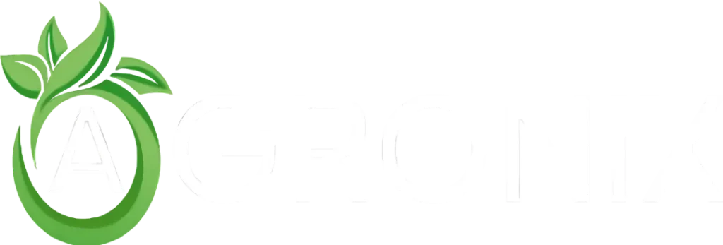 logo.webp